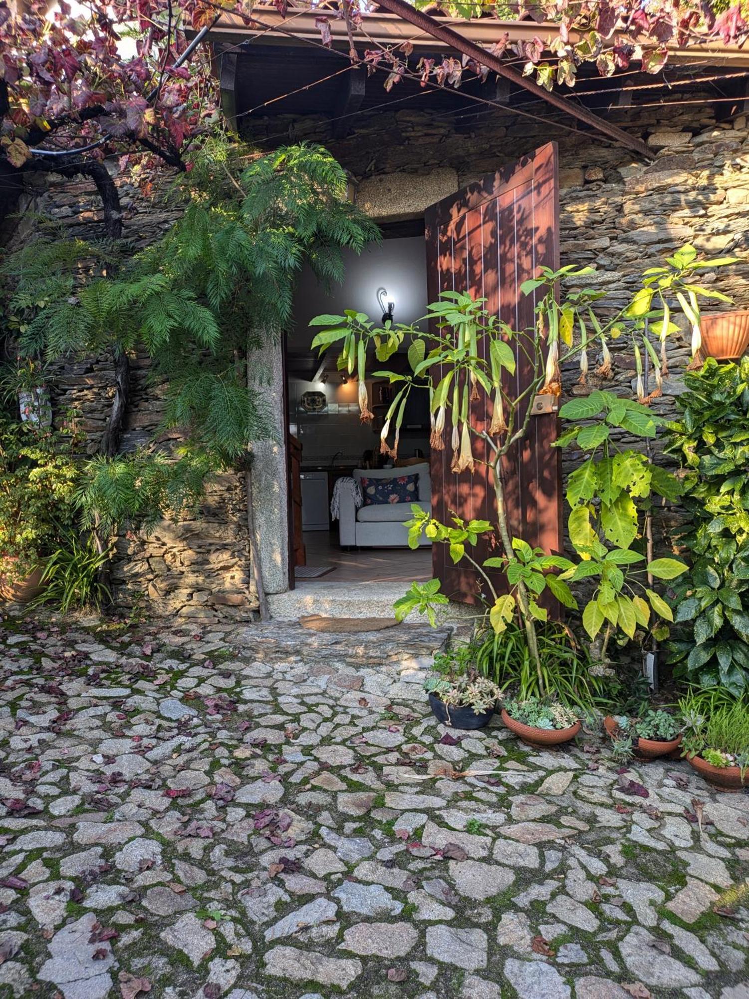 Вілла Casa Do Valo Amonde Екстер'єр фото