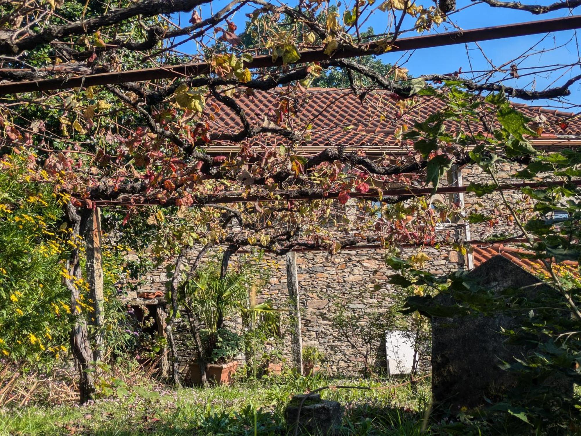 Вілла Casa Do Valo Amonde Екстер'єр фото